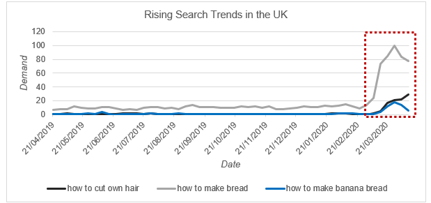 Rising Search Trends